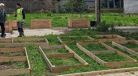Jardin TESTEUR