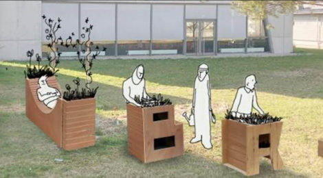 Jardin potager et Grainothèque